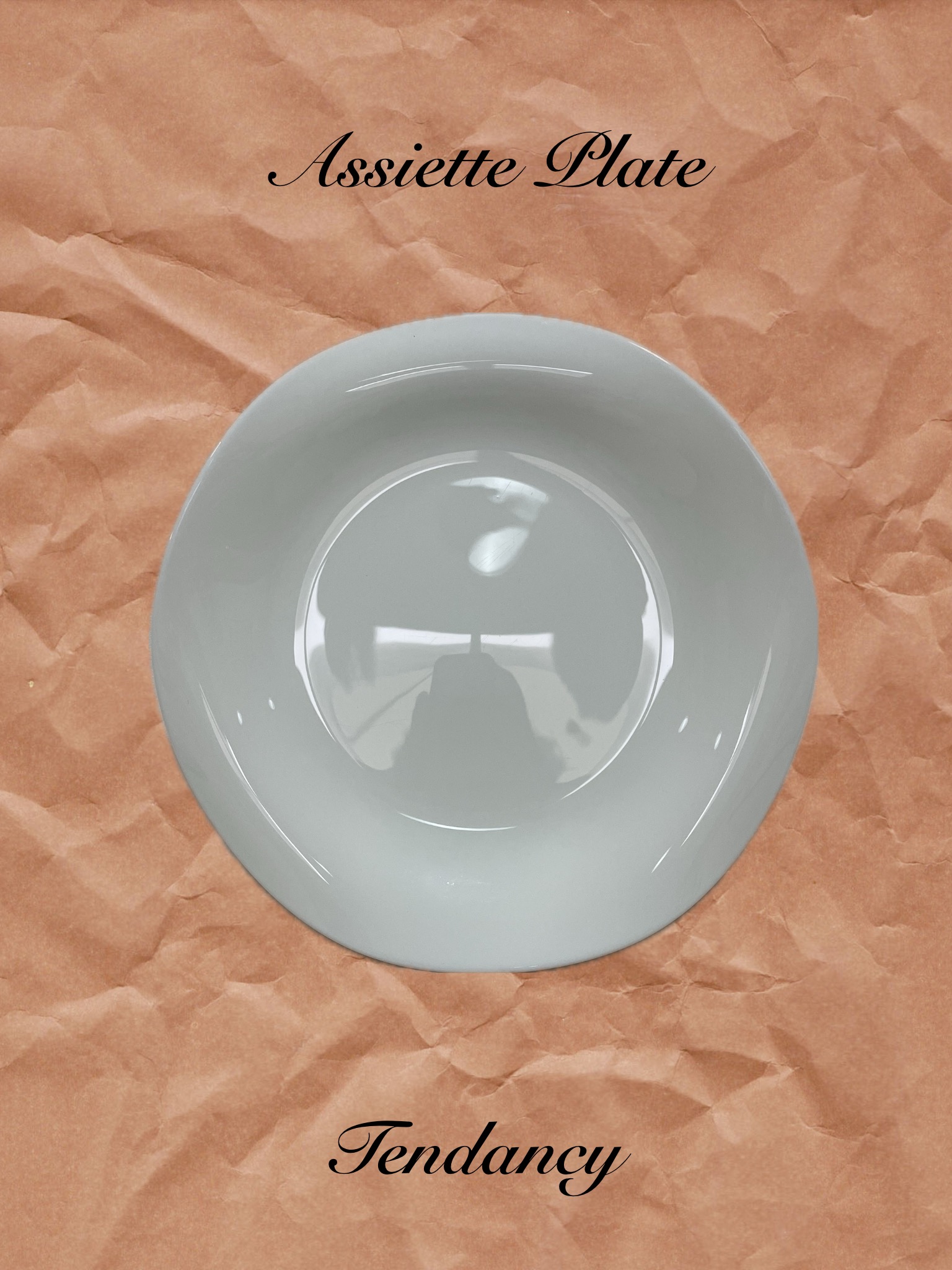 Assiette plate Tendancy D27cm Assiette Plate TENDANCY/la 12e