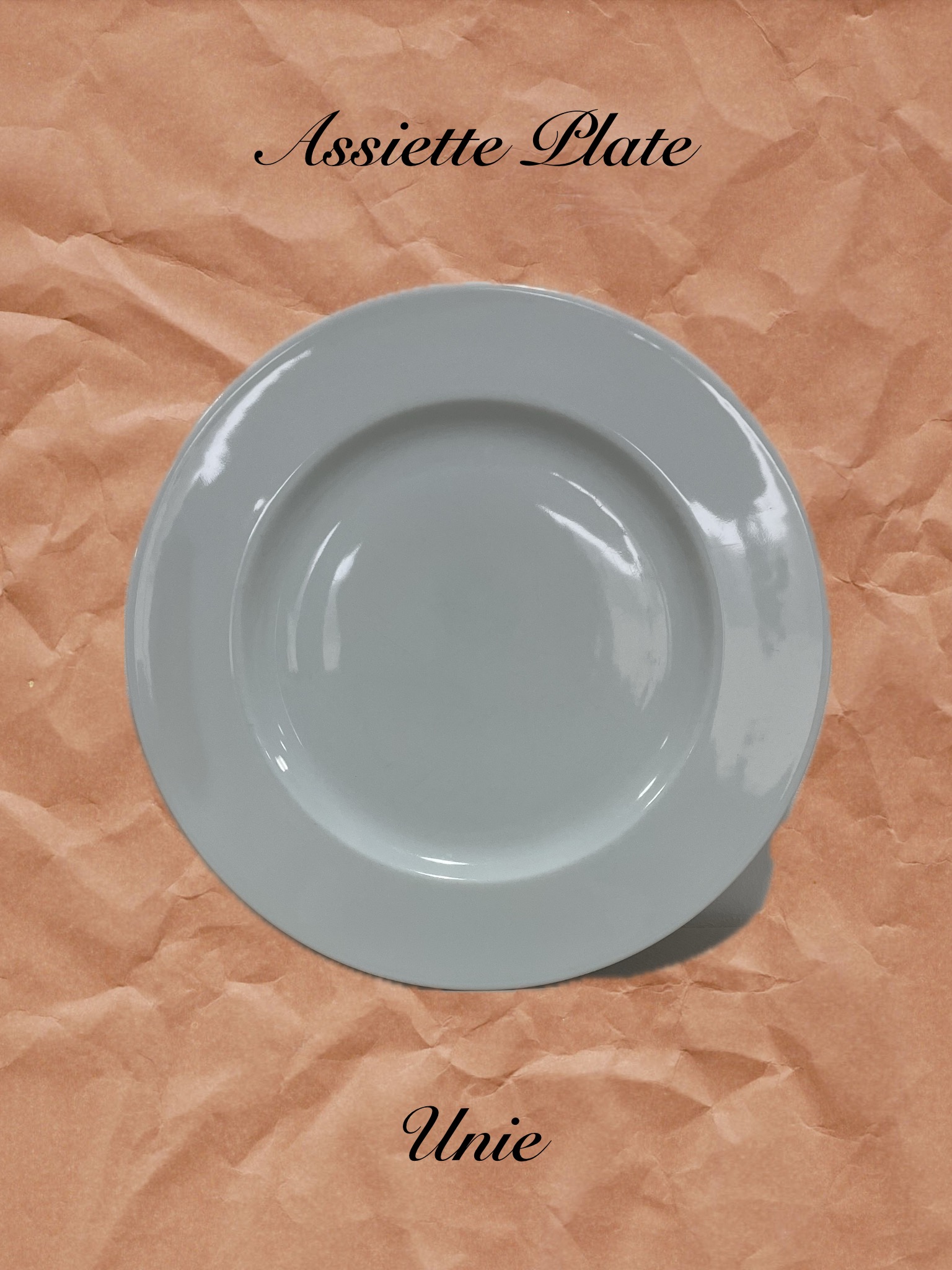 Assiette plate Unie D25-27cm Assiette Plate UNIE/la 12e