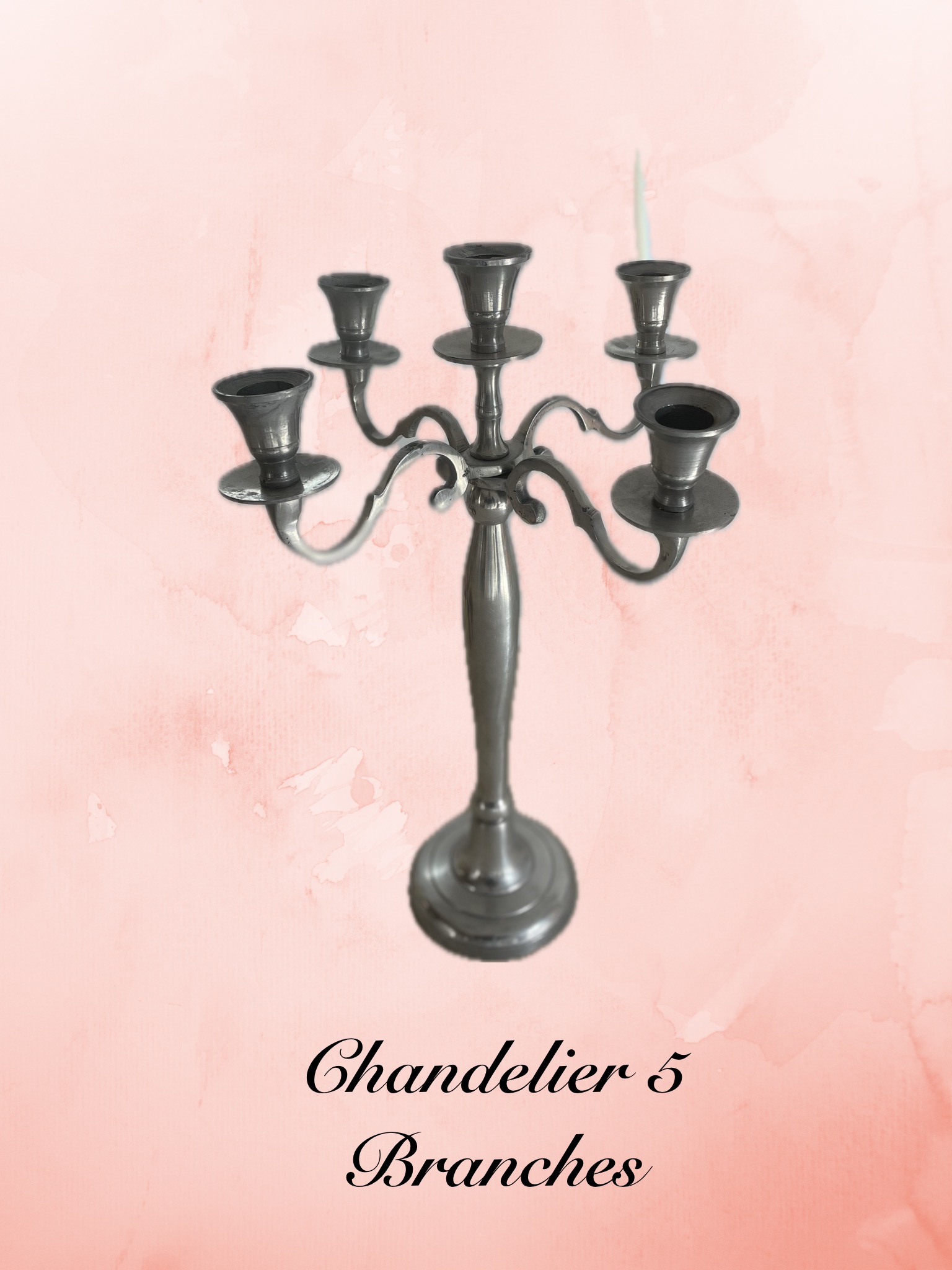 Chandelier Chandelier 5 branches H=42cm