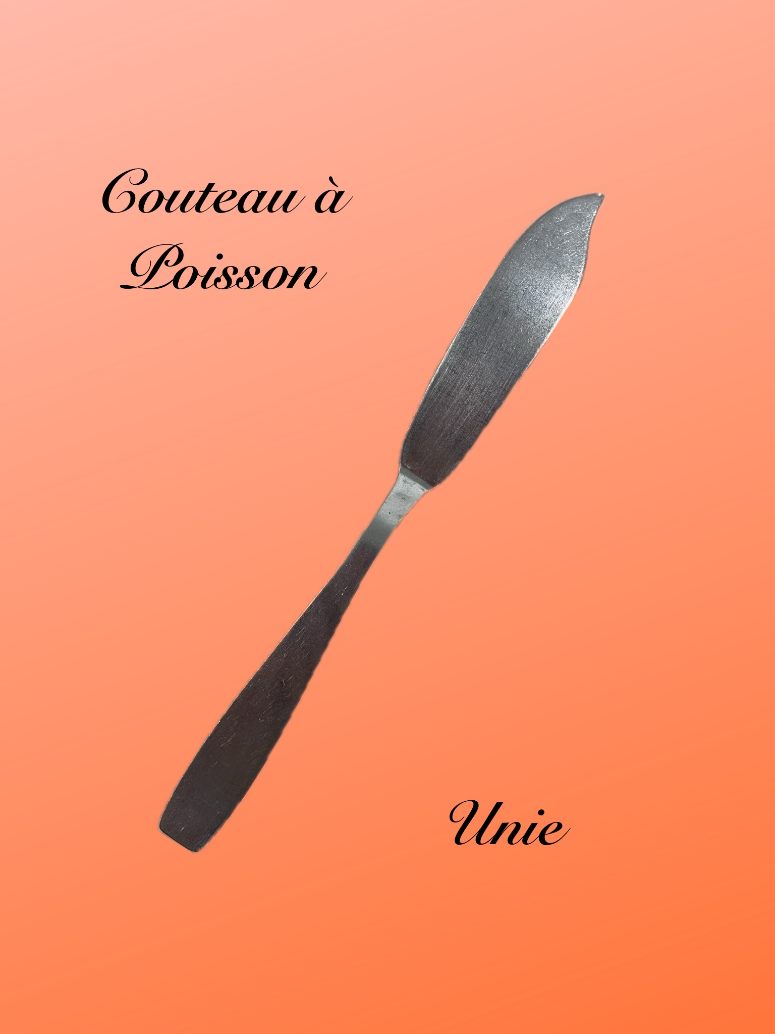 Couteau à poisson Unie Couteaux à poisson unie / la 12e