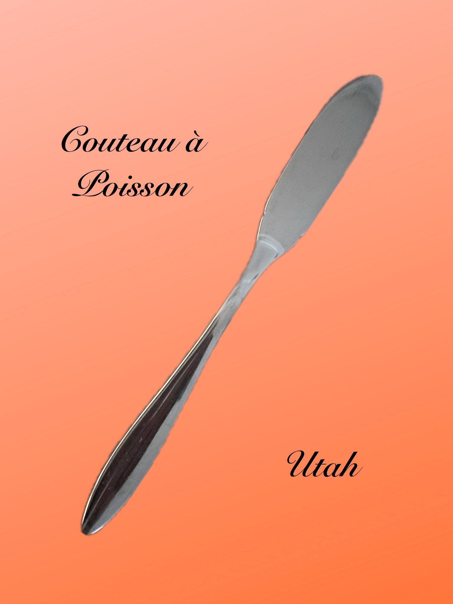 Couteau à poisson Utah Couteau à poisson Utah / la 12e