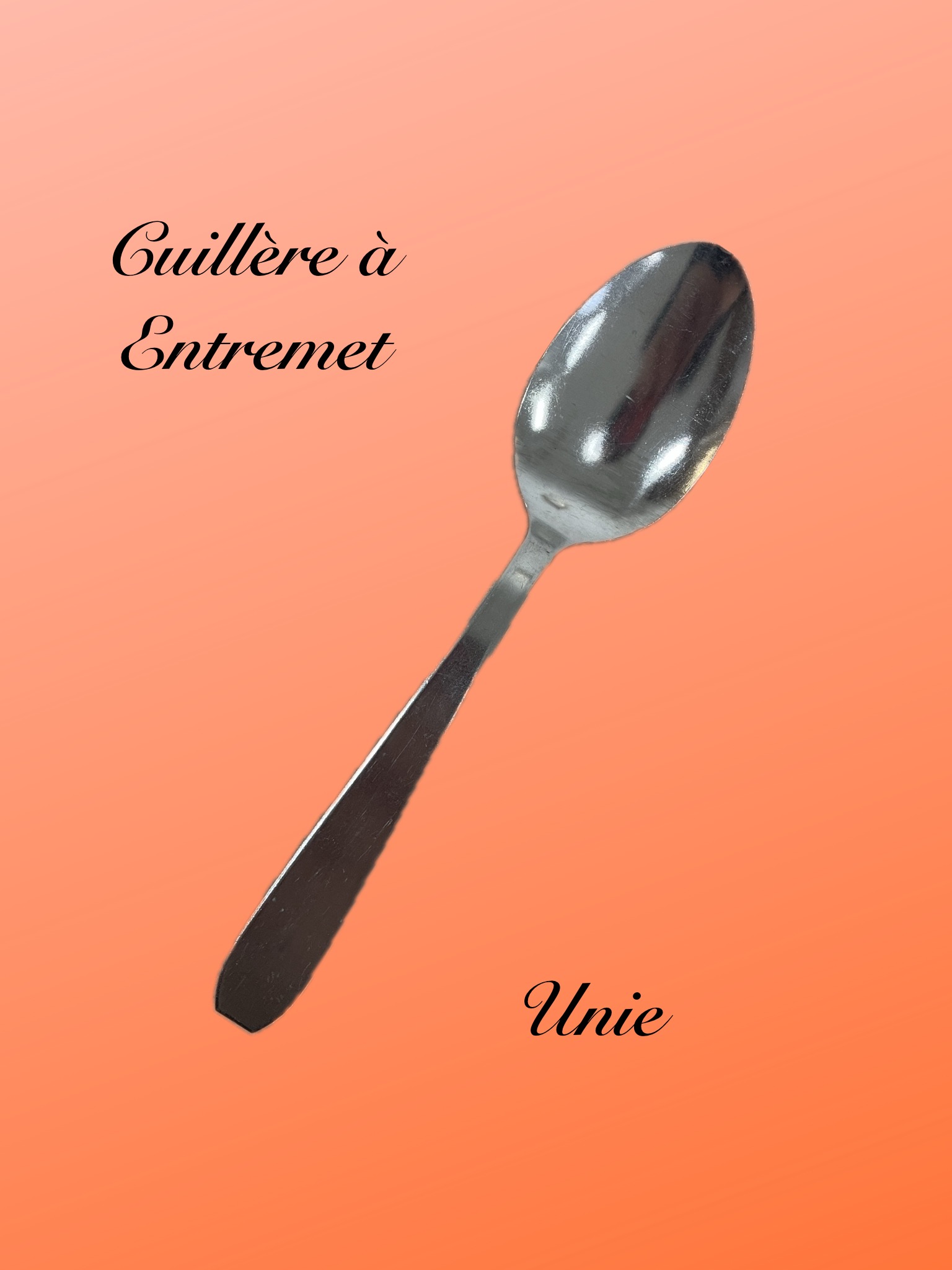 Cuillère à entremet Unie Cuillères à entremet unie / la 12e